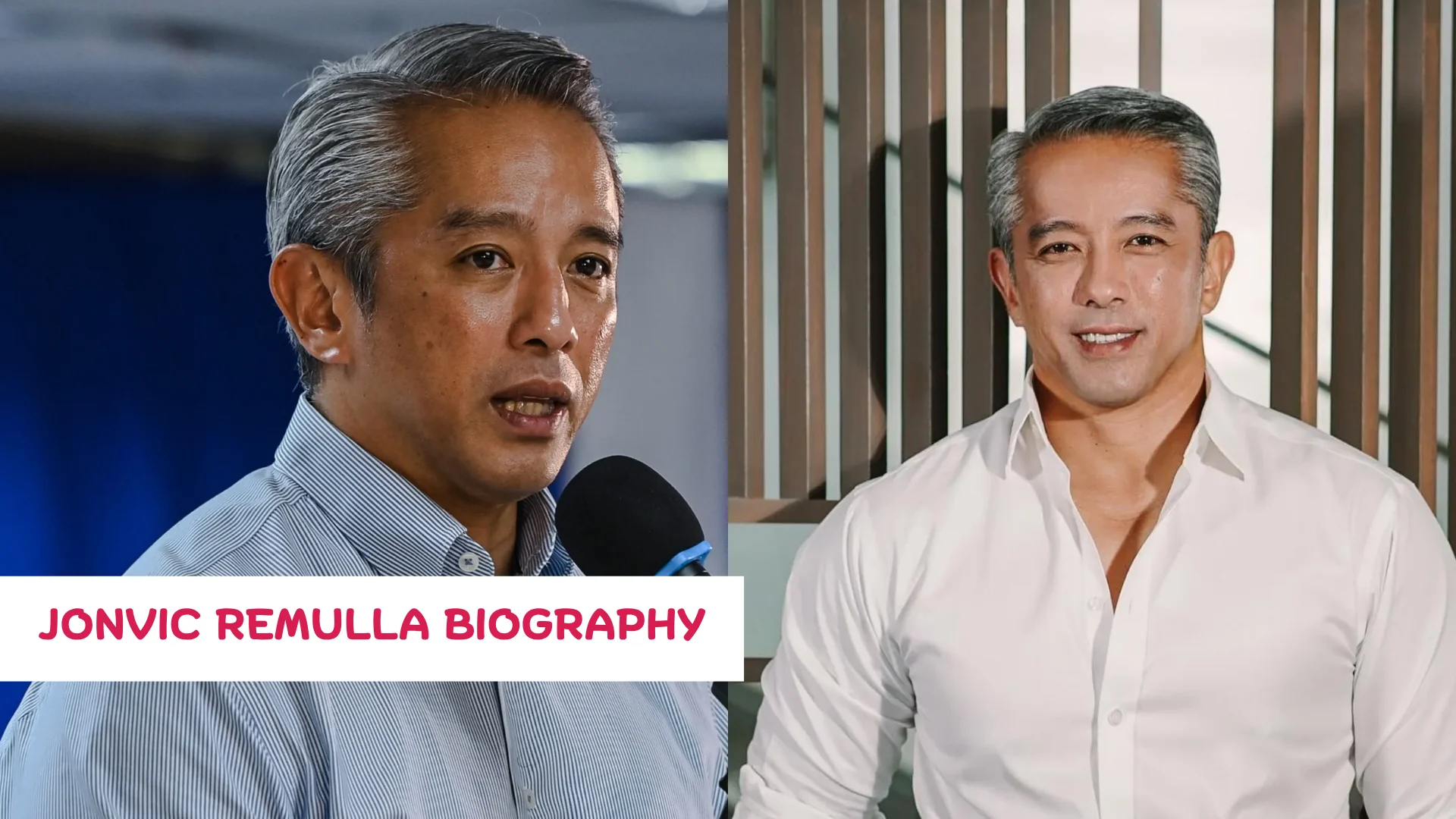 Jonvic Remulla Biography